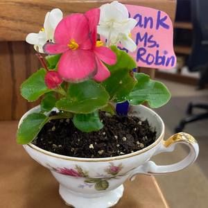 Meet your Posher, Robin